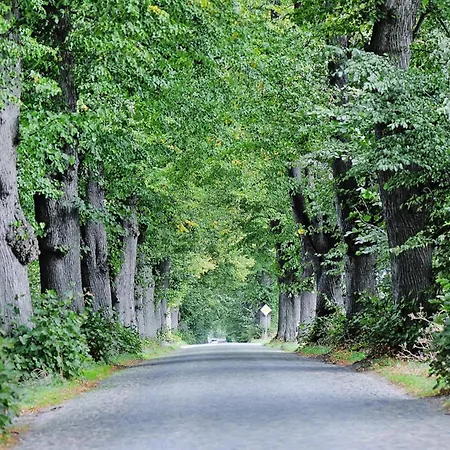 Gutshaus In Garz * Zicker