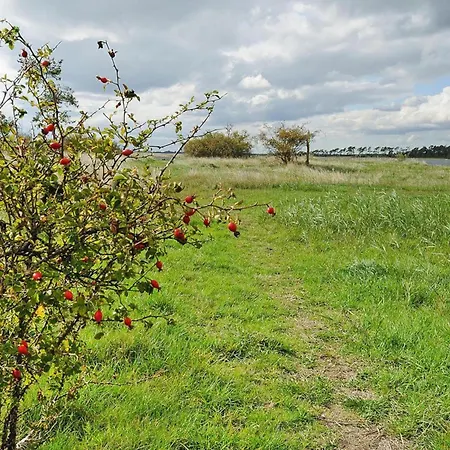 Dom wakacyjny Gutshaus In Garz Zicker