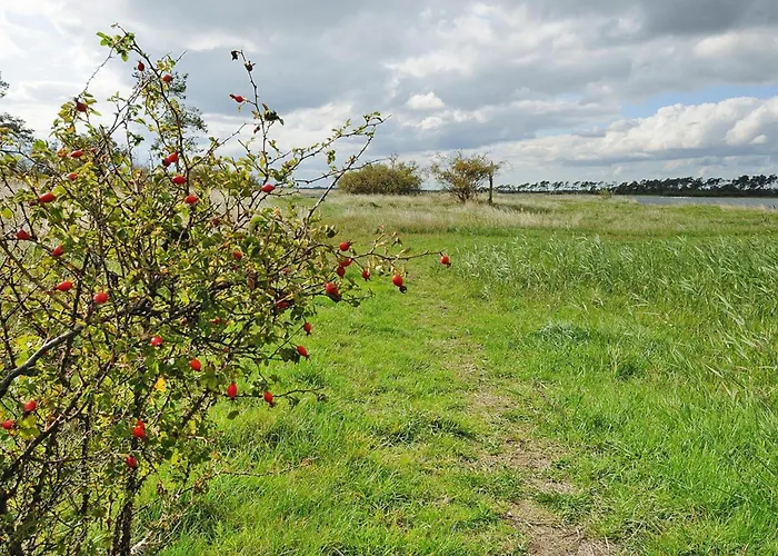 Semesterbostad Gutshaus In Garz Zicker